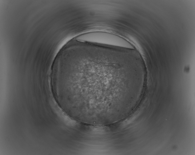 X0000093100899200710101535