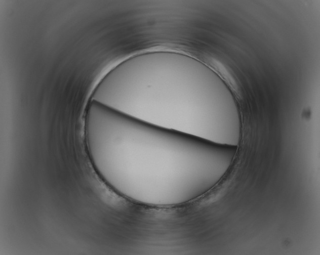 X0000093100900200710101535