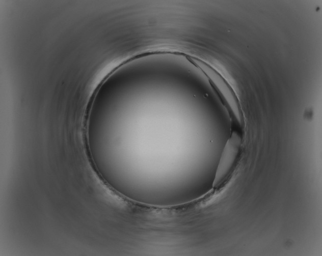 X0000093100901200710101535