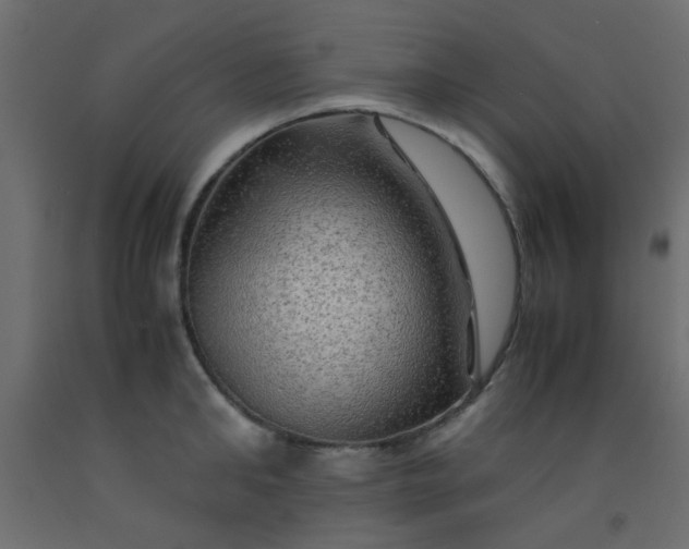 X0000093100902200710101535