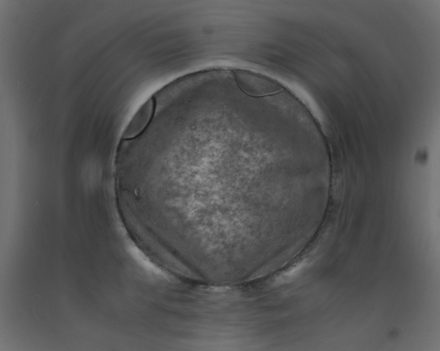 X0000093100903200710101535