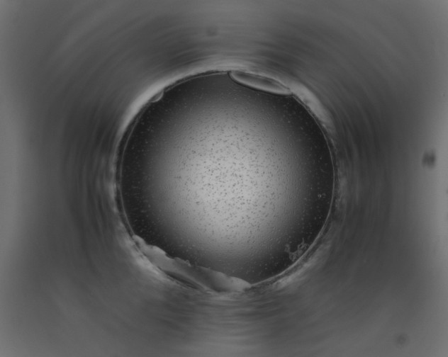X0000093100904200710101535
