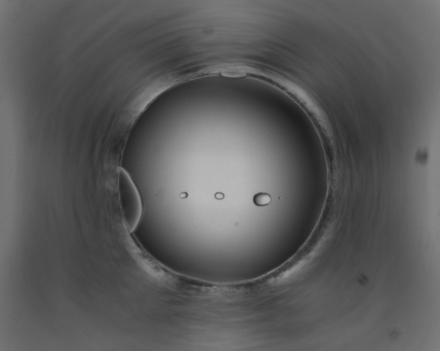 X0000093100905200710101535