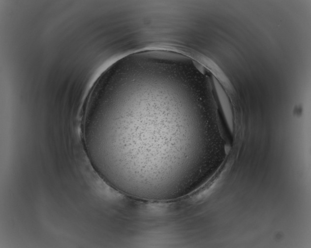 X0000093100908200710101535
