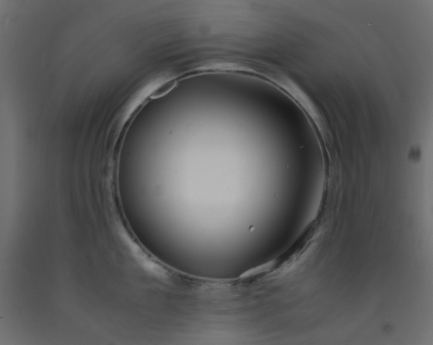 X0000093100909200710101535