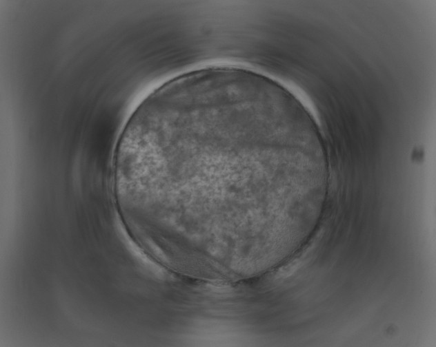 X0000093100911200710101535