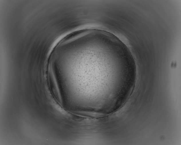 X0000093100912200710101535