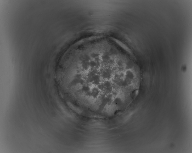 X0000093100913200710101534