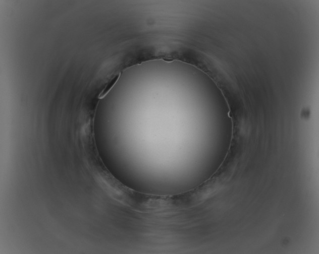 X0000093100914200710101534