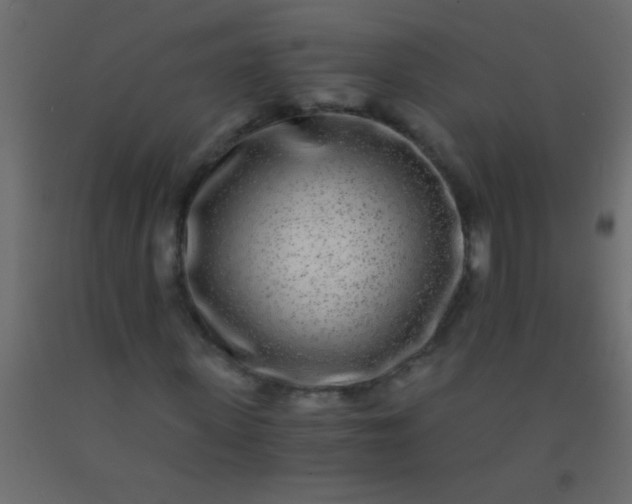 X0000093100915200710101534