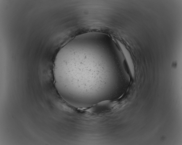 X0000093100916200710101534