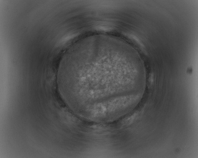 X0000093100917200710101534