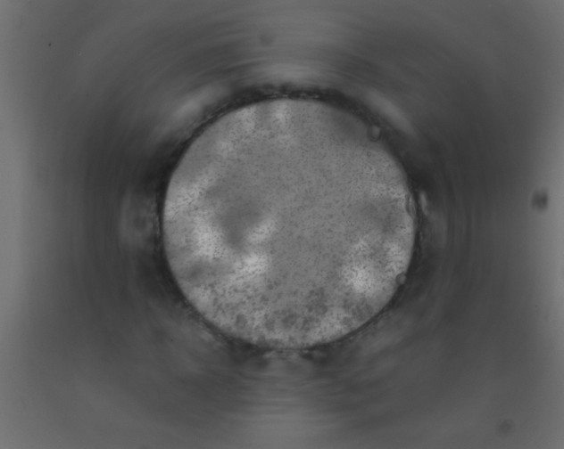 X0000093100918200710101534