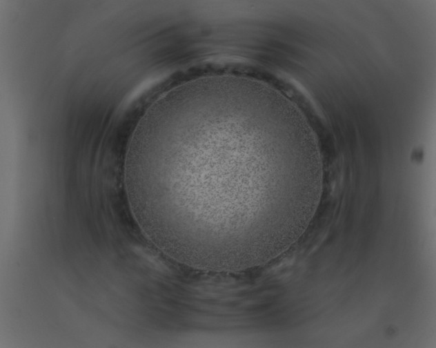 X0000093100919200710101534