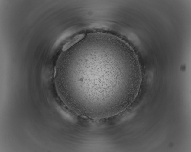X0000093100920200710101534