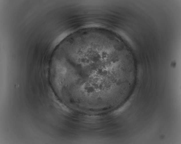 X0000093100921200710101534