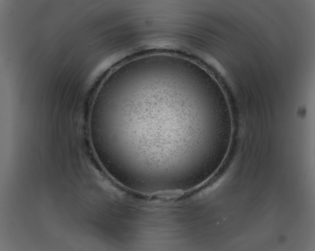 X0000093100922200710101534