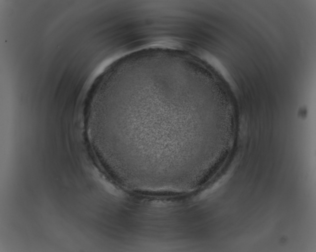 X0000093100923200710101534