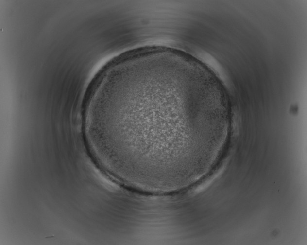 X0000093100924200710101534