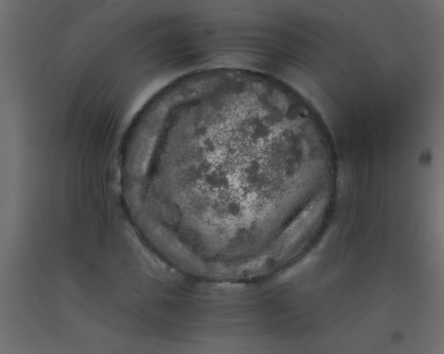 X0000093100925200710101534