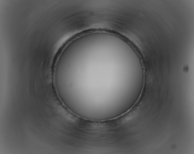 X0000093100927200710101534