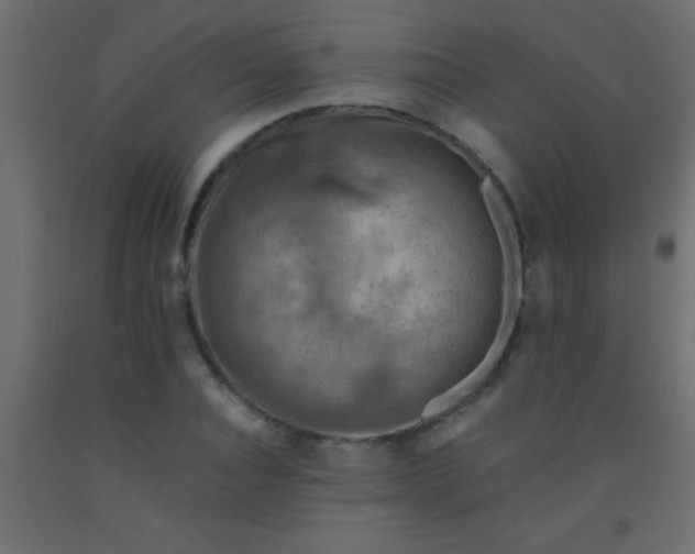 X0000093100928200710101535