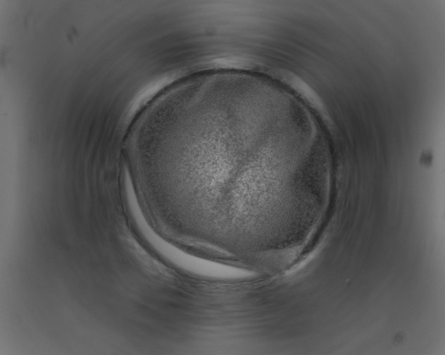 X0000093100930200710101535
