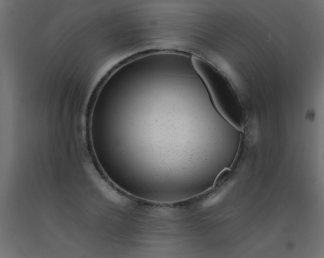 X0000093100932200710101535