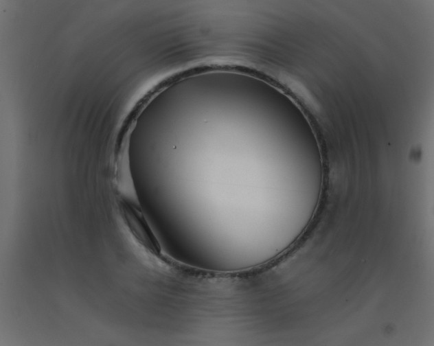 X0000093100934200710101535