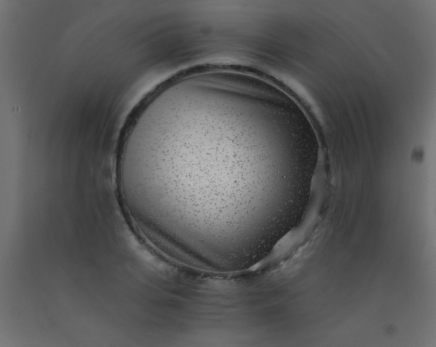 X0000093100935200710101535