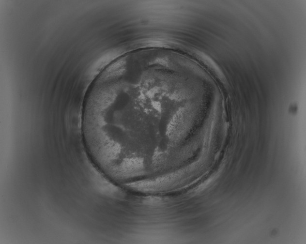 X0000093100938200710101535