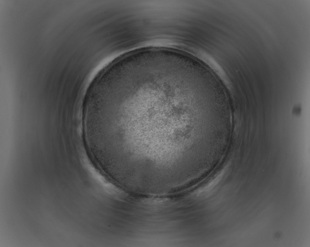 X0000093100939200710101535