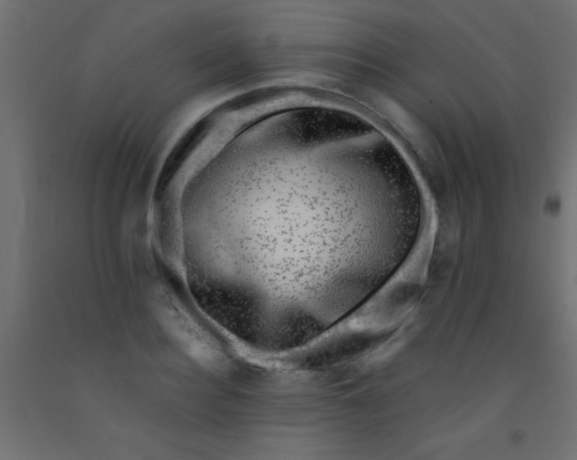 X0000093100940200710101535