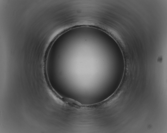 X0000093100942200710101535