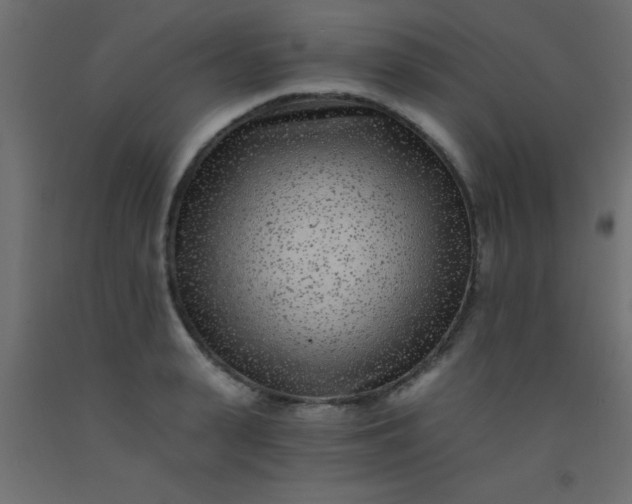 X0000093100943200710101535