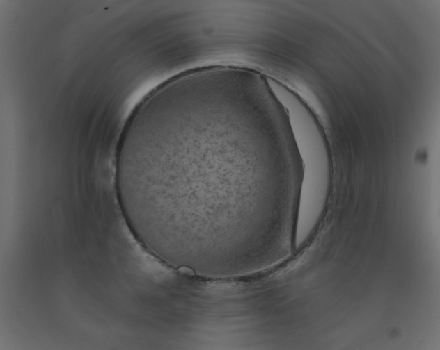X0000093100944200710101535
