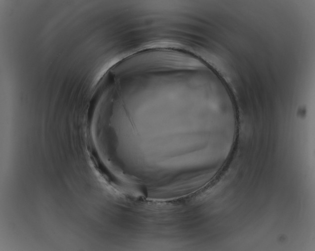 X0000093100945200710101535
