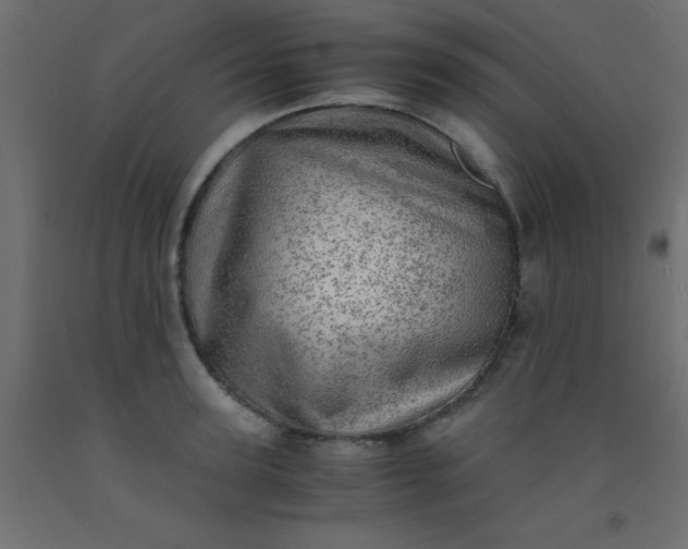 X0000093100947200710101535