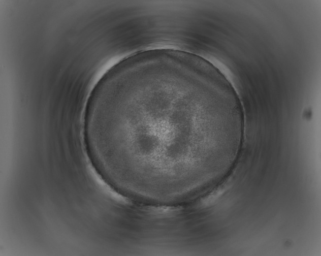 X0000093100949200710101535