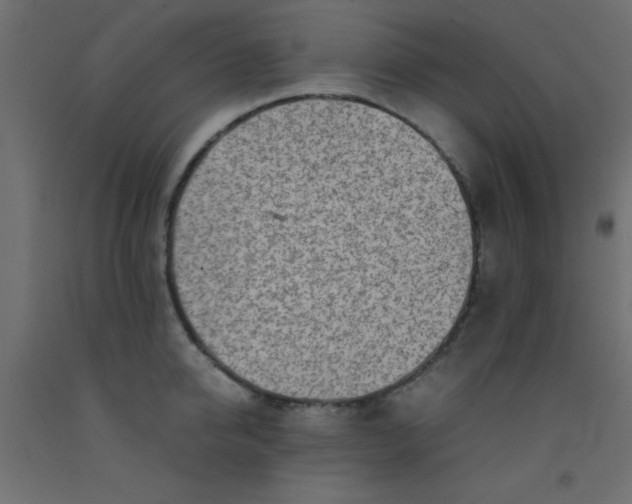 X0000093100950200710101535
