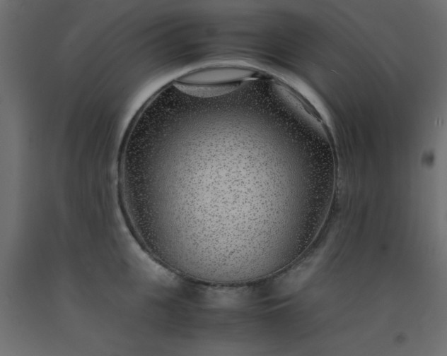 X0000093100951200710101535