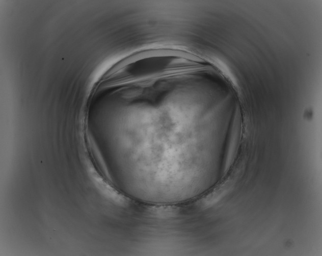 X0000093100952200710101535