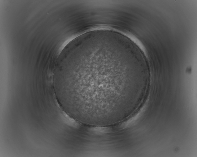 X0000093100953200710101535