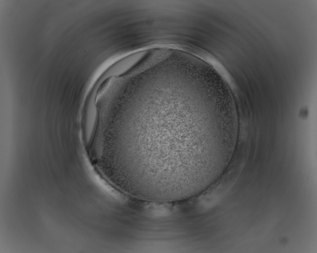 X0000093100955200710101535