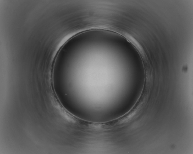 X0000093100956200710101535