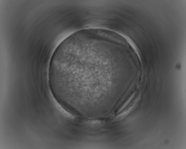 X0000093100957200710101535