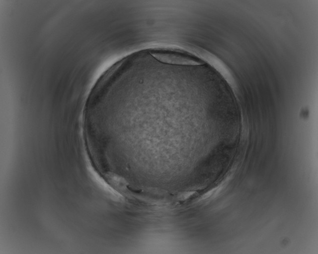 X0000093100958200710101535