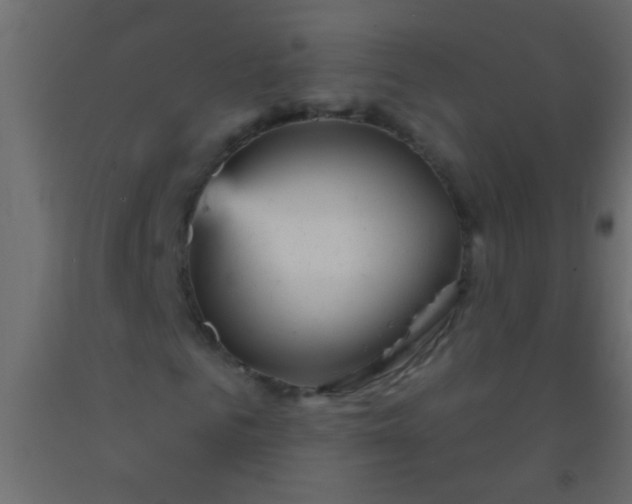 X0000093100961200710101534