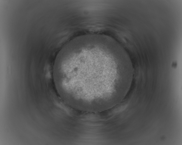 X0000093100962200710101534