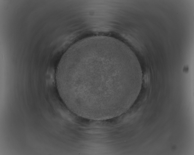 X0000093100963200710101534